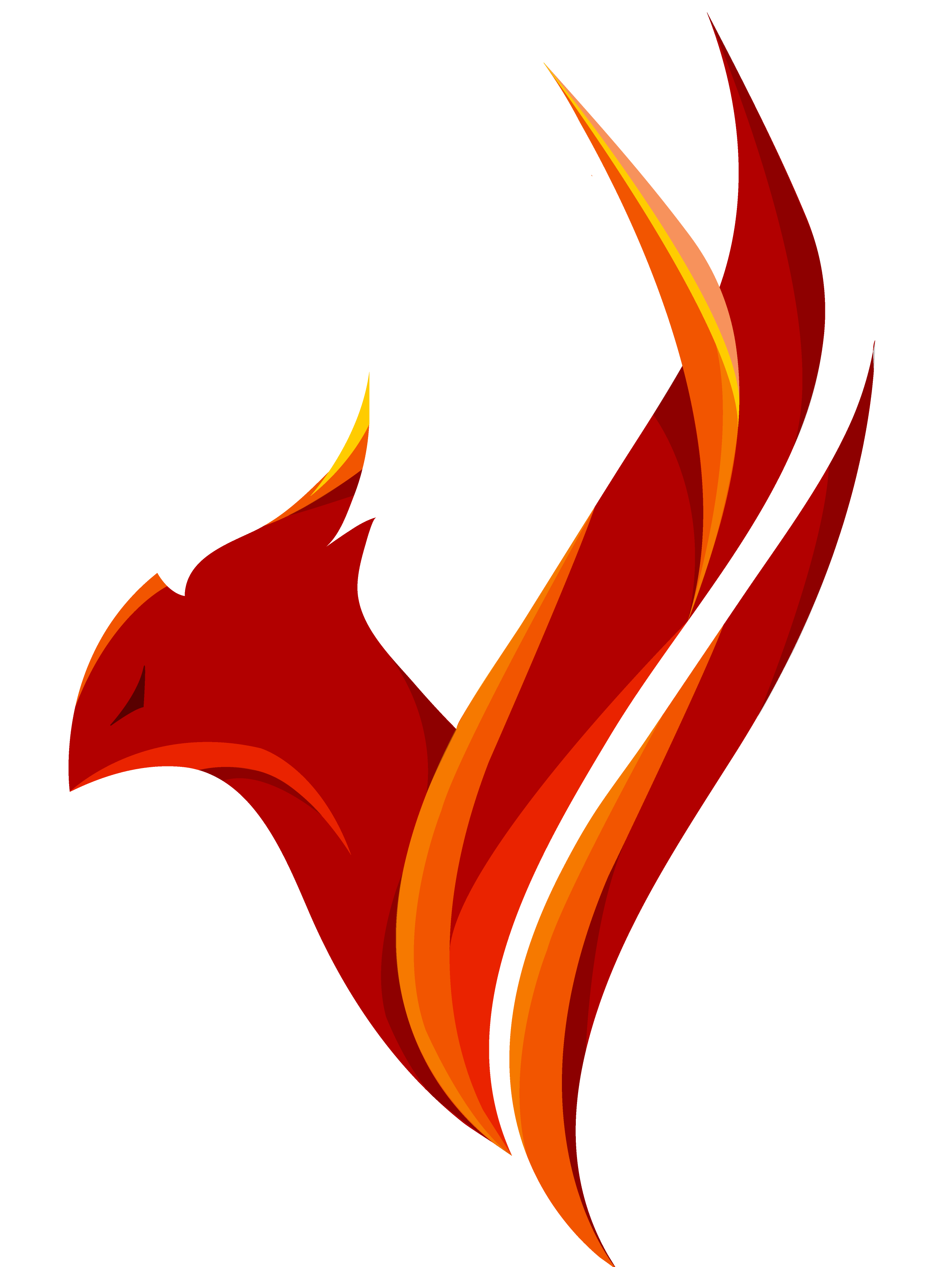 TheTeamPhoenix